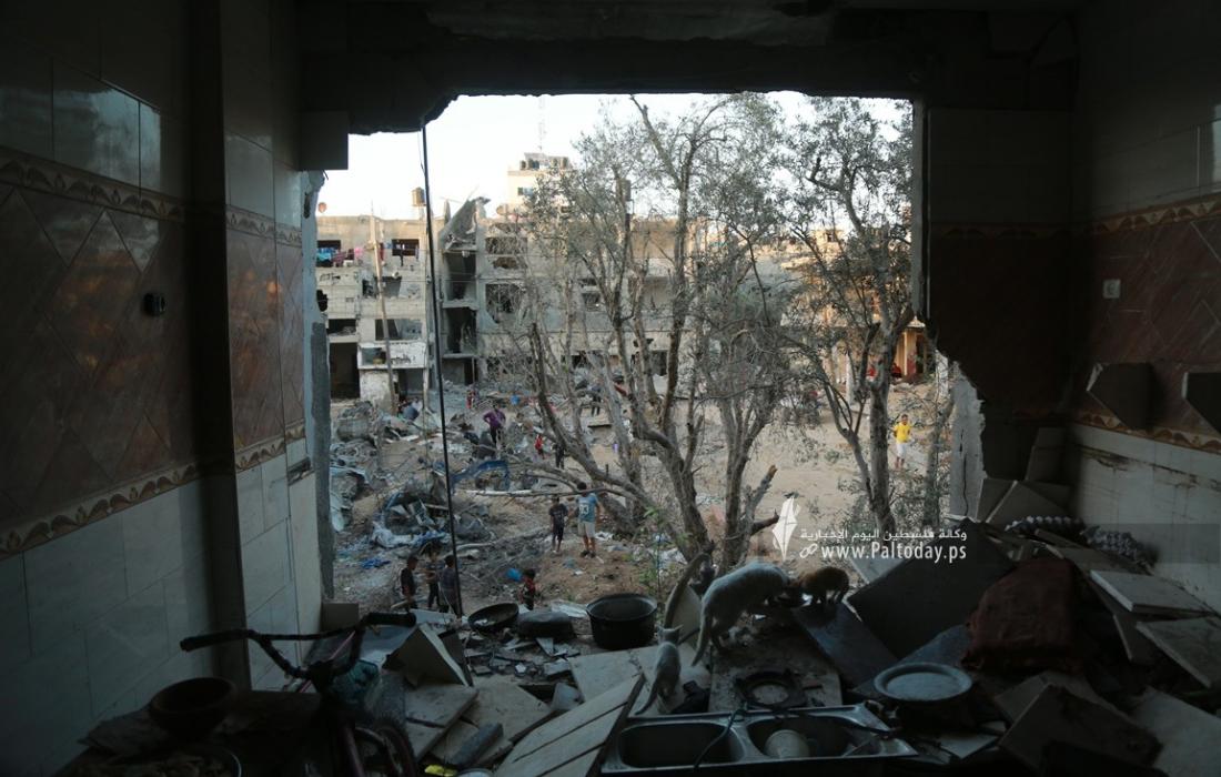 منازل مدمرة بقطاع غزة (16).JPG