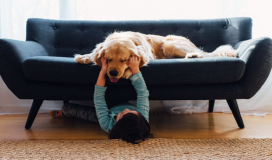 دراسة تكشف أن نمو الأطفال مع وجود كلب قد يحميهم من مرض شائع!