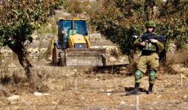 الاحتلال يقتلع ألف شجرة زيتون في قرية حجة شرق قلقيلية