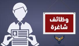 وظائفطريقة التسجيل في وظائف وزارة التربية والتعليم القطرية 2022-مرفق رابط التسجيل شاغرة