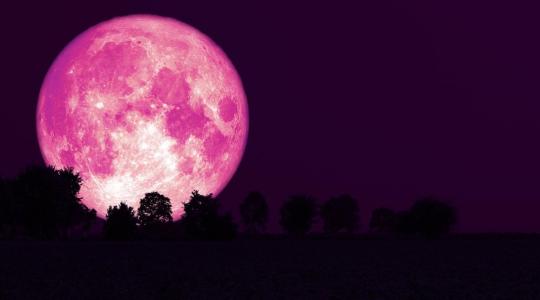 القمر الوردي.jpg