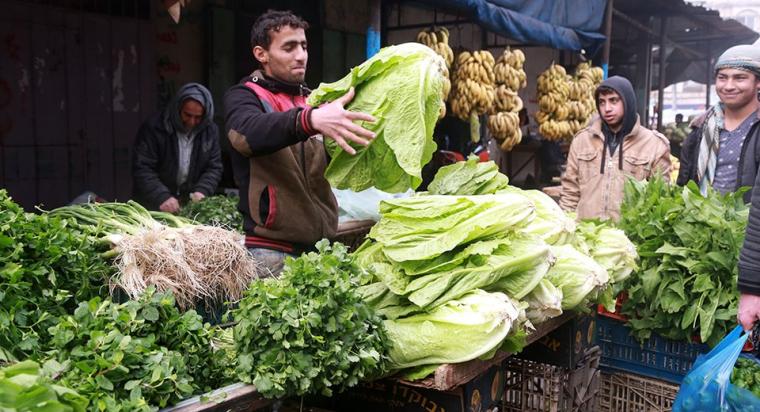أسعار الخضروات والدجاج في أسواق غزة اليوم الاثنين 8 مايو 2023