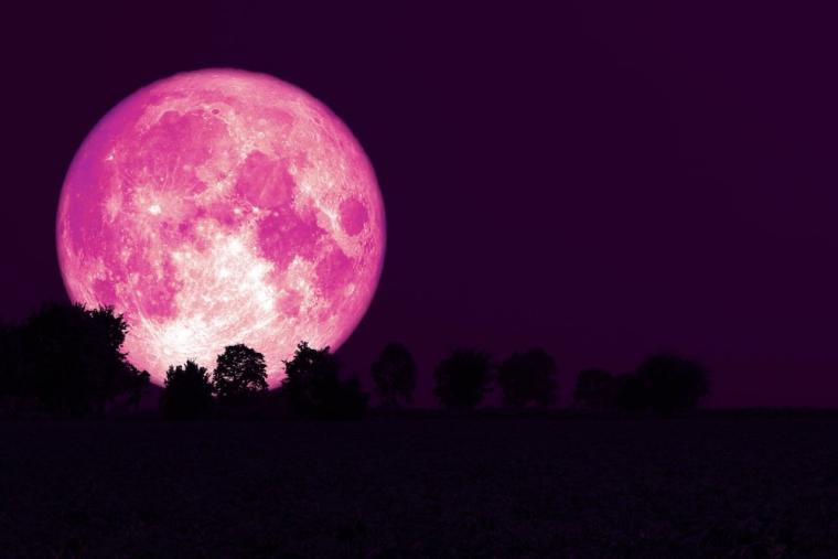 القمر الوردي.jpg